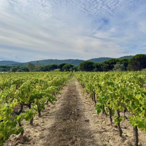 image00049 copie